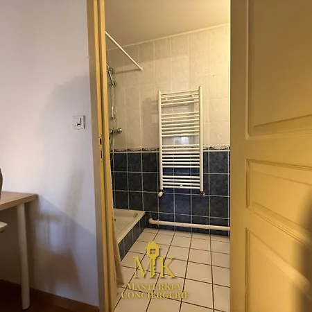Apartman La Charpente 10 Min De La Place Stanislas,